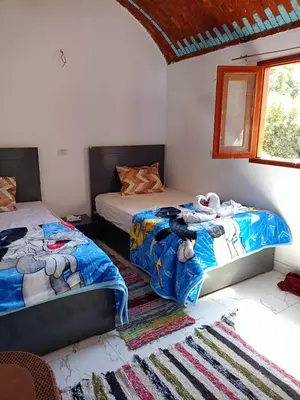 a bedroom with two beds and a window at Reagan House in Aswan