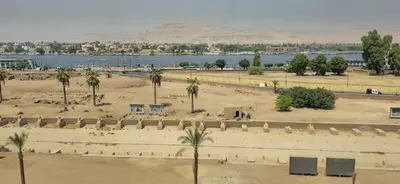 a park with palm trees and a body of water at S S Luxor Hotel in Luxor