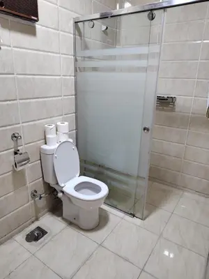 a bathroom with a toilet and a shower at Apartmant for family in Hurghada in Hurghada