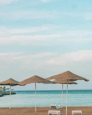 a group of straw umbrellas and chairs on a beach at Scandic resort in Hurghada