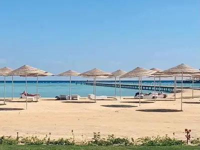 a beach with many straw umbrellas and the ocean at Scandic resort in Hurghada