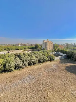 a view of a building from a hill with trees at Muhammad Ali house in Luxor