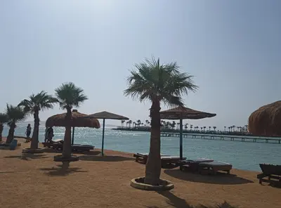 a beach with palm trees and umbrellas and a pier at Tiba Golden in Hurghada