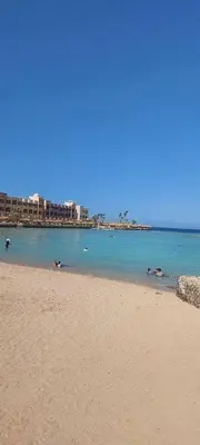 a beach with ducks swimming in the water at Tiba golden resort hurghada holiday in Hurghada
