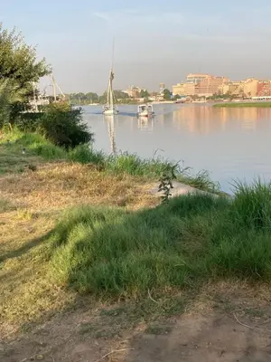 a sail boat on a river with a windmill at Elbess For Toursim in Luxor