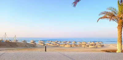 a beach with a bunch of umbrellas and the ocean at Oyster Bay Beach Suites in Marsa Alam