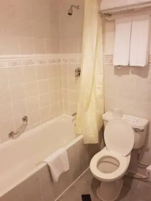a bathroom with a toilet and a bath tub with at Luxor temple view in Luxor