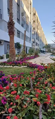 a garden of flowers in front of a building at Luxury suit with private beach and aquapark in Hurghada