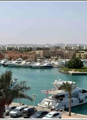 a group of boats parked in a marina with palm trees at استوديوا بالجونه in Hurghada