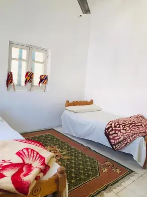 a white room with two beds and a rug at ISIS Hostel in Aswan