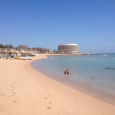 a dog sitting in the water on a beach at Desert Pearl Studio Retreat in Hurghada