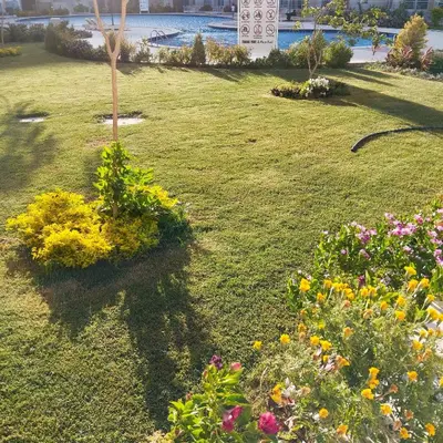 a garden with flowers in a grassy field at Princess Resort, Hurghada in Hurghada