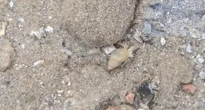 a bunch of rocks on the ground in the sand at 2 bedroom apartment in Prestige Plaza in Hurghada