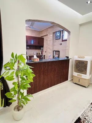 a kitchen with a counter and a plant in a room at Fontana Guste house in Luxor