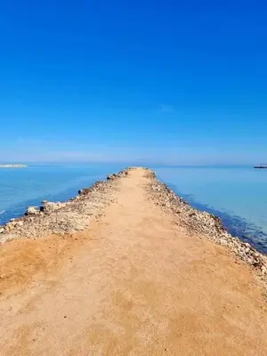 an island in the middle of the ocean at Studio in turtels beach e41 in Hurghada