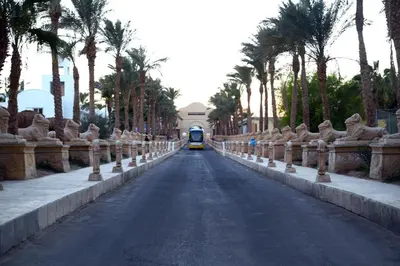 a yellow car driving down a road with palm trees at Mirage Bay Resort Aquapark SAM Suite in Hurghada