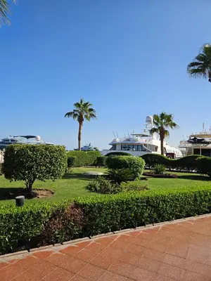 a park with trees and bushes and palm trees at Simplestays Hurghada in Hurghada