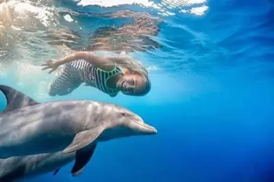 a woman swimming in the water with two dolphins at رحلات بحرية دولفين وغواصة وجزر in Hurghada