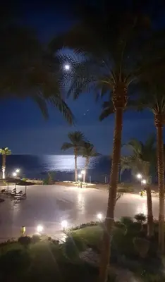 a view of a beach at night with palm trees at Cecilia Resort Hurghada in Hurghada
