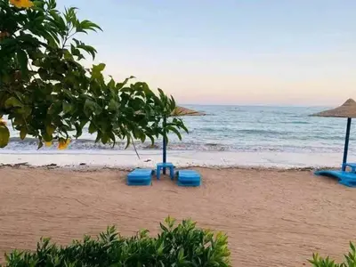 a beach with blue chairs and umbrellas and the ocean at Cecilia Resort Hurghada in Hurghada