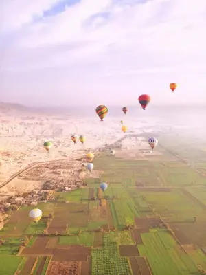 a bunch of hot air balloons flying over a field at New Alsalam Hotel in Luxor
