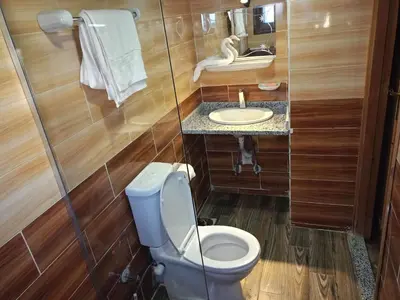 a bathroom with a toilet and a sink at King Arthur luxury Dahabyaa in Luxor
