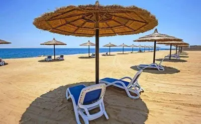 a group of chairs and umbrellas on a beach at Special Apartment For Rent 103 in Hurghada