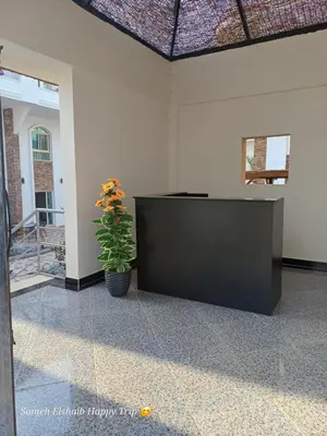 a room with a table and a plant in it at Suncare America Resort - luxury rooms in Hurghada