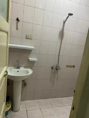a bathroom with a shower and a sink at Nile Cruise Aswan in Luxor