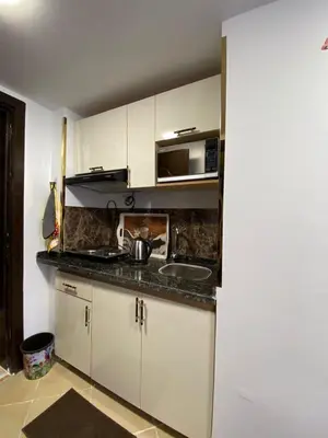 a small kitchen with a sink and a microwave at فلورينزا الخمسين in Hurghada
