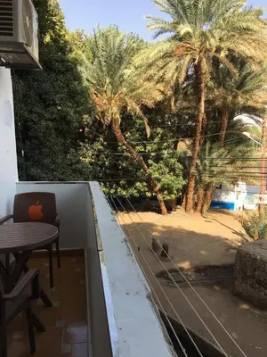 a view of a patio with a table and palm trees at Gana kato in Aswan