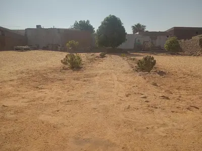 a dirt field with bushes in front of a building at Arman House in Aswan