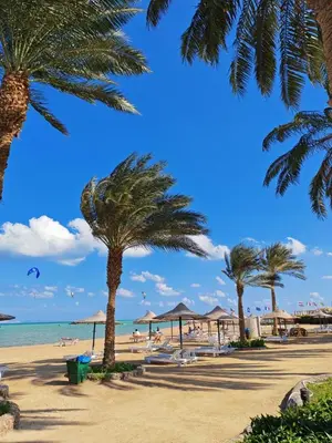 a beach with palm trees and the ocean at Relaxing Apartment in Hurghada
