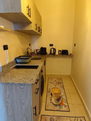 a kitchen with a counter top with a rug on the floor at Paradise Vibe Apartment in Hurghada