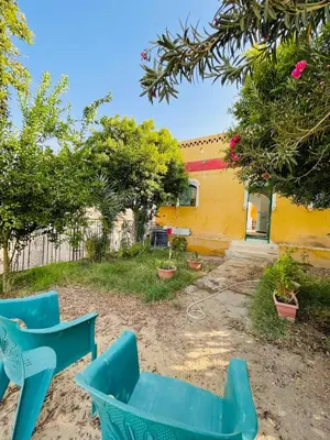 a yard with two blue chairs and a yellow house at ايـو كـاتو in Jazīrat ‘Awwāḑ