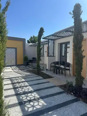 a patio with chairs and trees in front of a house at The D9 Luxury Suites - Hurghada in Hurghada