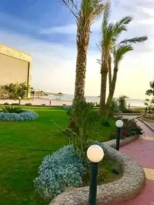 a garden with palm trees and blue flowers in a park at سيسليا بيتش ريزورت in Hurghada