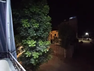 a large tree in front of a building at night at Peaceful Private Studio Steps from Luxor in Luxor