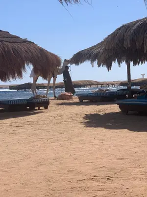 a man sitting on the beach with a camel on the beach at 3-Bed Sleeps 6 with Sea View & Free Parking in Hurghada