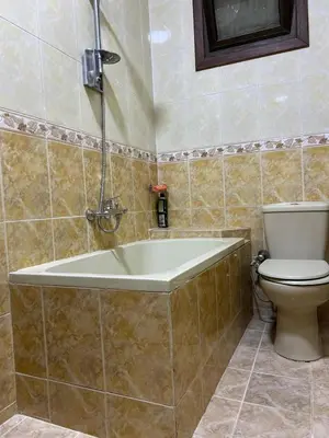 a bathroom with a bath tub and a toilet at Nile View Luxe Stay , Walk to Luxor Temple in Luxor