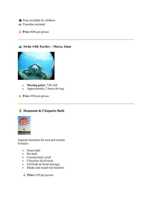 a screenshot of a page of a website with a dolphin at Kite Lodging Hotel in Hurghada
