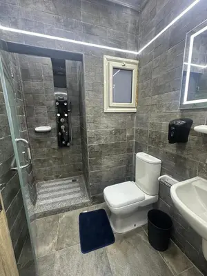 a bathroom with a shower and a toilet and a sink at Interstar Luxury Apartments in Hurghada