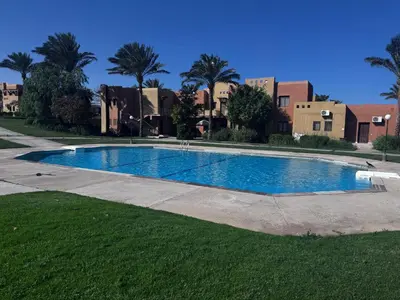 a swimming pool in a yard with palm trees at Stella Makadi Bay - Pool View Apartment with Beach Access - Holiday Makadi in Hurghada