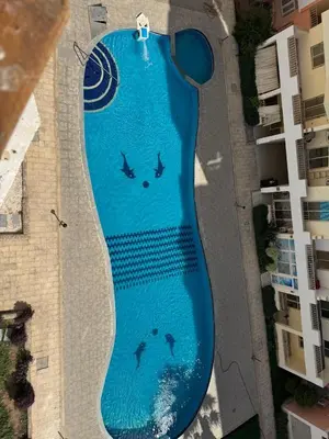 a large blue swimming pool with birds painted on it at 1st Time Rental, 2 BDR Apartment, Pool View, Intercontinental District in Hurghada