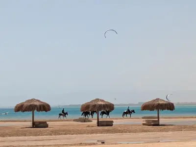 a group of people riding horses on the beach at Panoramic Seaview Somabay 1BR Apartment in Mesca in Hurghada