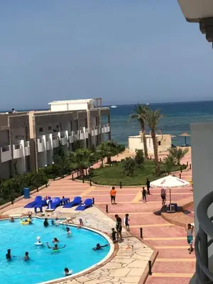 a group of people in a swimming pool near the ocean at cecelia resort in Hurghada