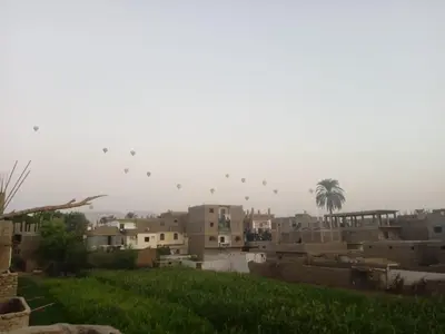 a flock of birds flying over a city with buildings at Sun Rise House Luxor in Al Aqālitah