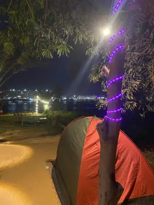 a tent under a tree with lights on it at Bafana Bafana Nile View Guest House in Aswan
