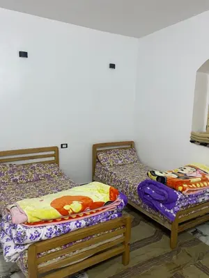two twin beds sitting in a room at Bafana Bafana Nile View Guest House in Aswan