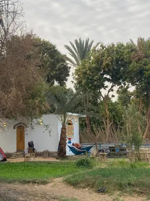 a small white house with a palm tree and a hammock at Bafana Bafana Nile View Guest House in Aswan